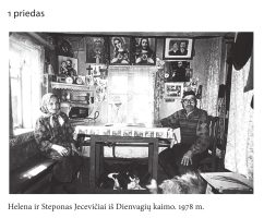 dapkevicius-priedas1
