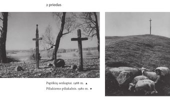 dapkevicius-priedas3